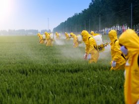 pesticides et santé